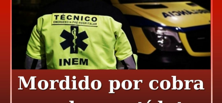 Homem mordido por cobra em Abrantes recebeu antídoto no hospital