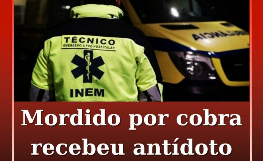 Homem mordido por cobra em Abrantes recebeu antídoto no hospital
