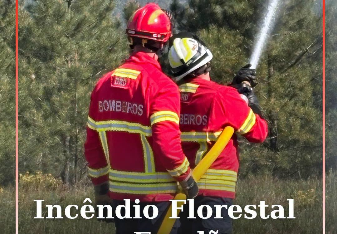 Incêndio Florestal em Fundão
