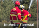 Incêndio Florestal em Fundão