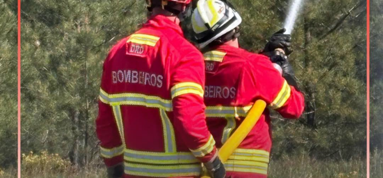 Incêndio Florestal em Fundão