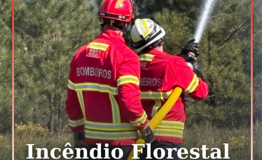 Incêndio Florestal em Fundão