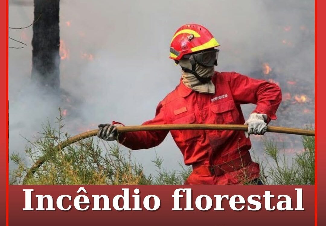 Incêndio florestal em Sertã