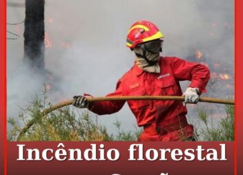 Incêndio florestal em Sertã