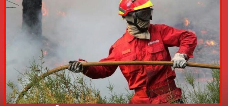 Incêndio florestal em Sertã