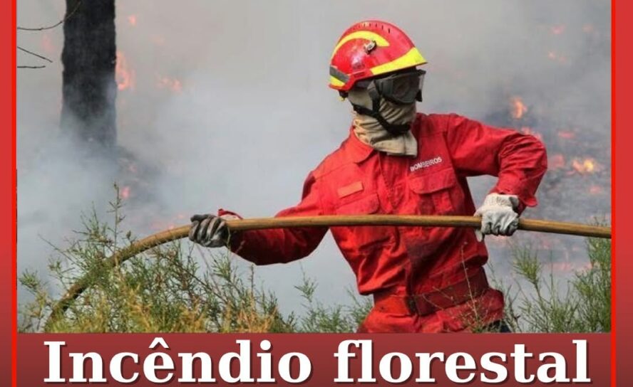 Incêndio florestal em Sertã