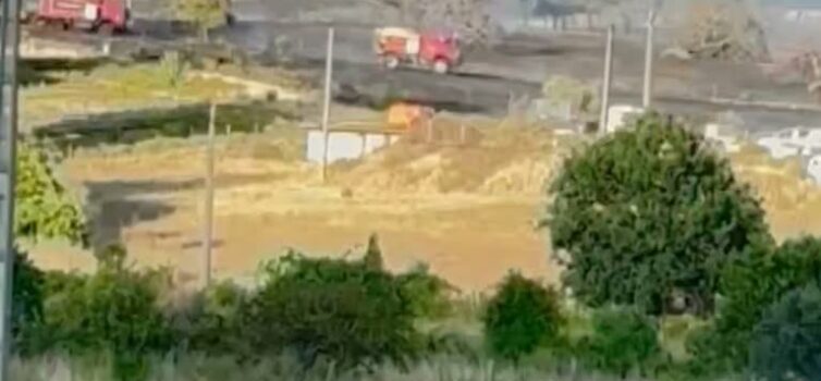 Incêndio florestal em Vila Velha de Ródão