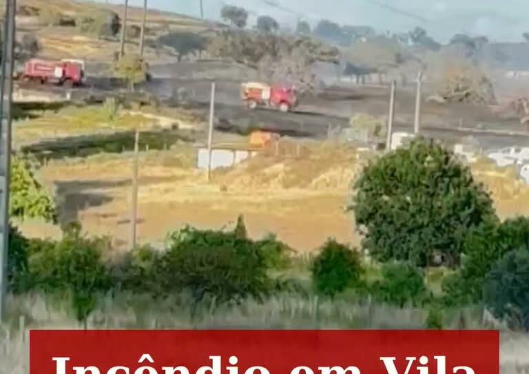 Incêndio florestal em Vila Velha de Ródão