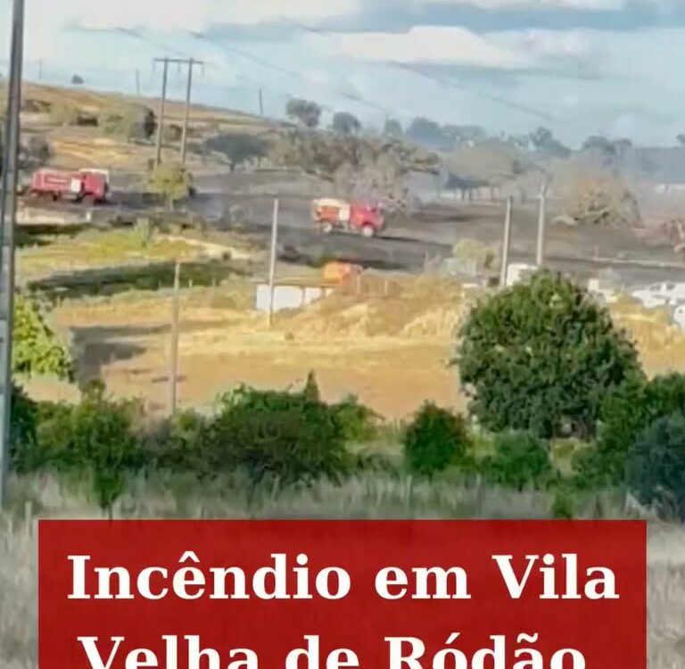 Incêndio florestal em Vila Velha de Ródão