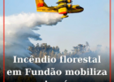 Incêndio florestal mobiliza bombeiros e meio aéreo no Fundão