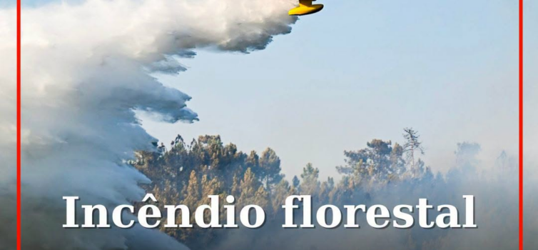 Incêndio florestal mobiliza bombeiros e meio aéreo no Fundão