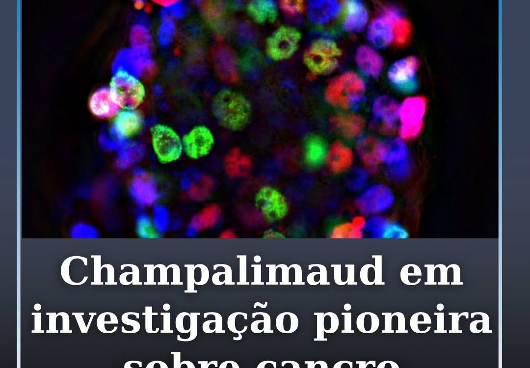 Investigadores da Champalimaud integram estudo internacional sobre cancro
