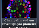Investigadores da Champalimaud integram estudo internacional sobre cancro