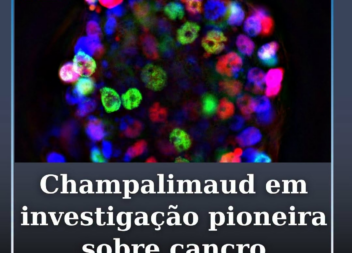 Investigadores da Champalimaud integram estudo internacional sobre cancro