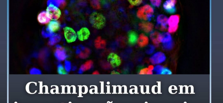 Investigadores da Champalimaud integram estudo internacional sobre cancro