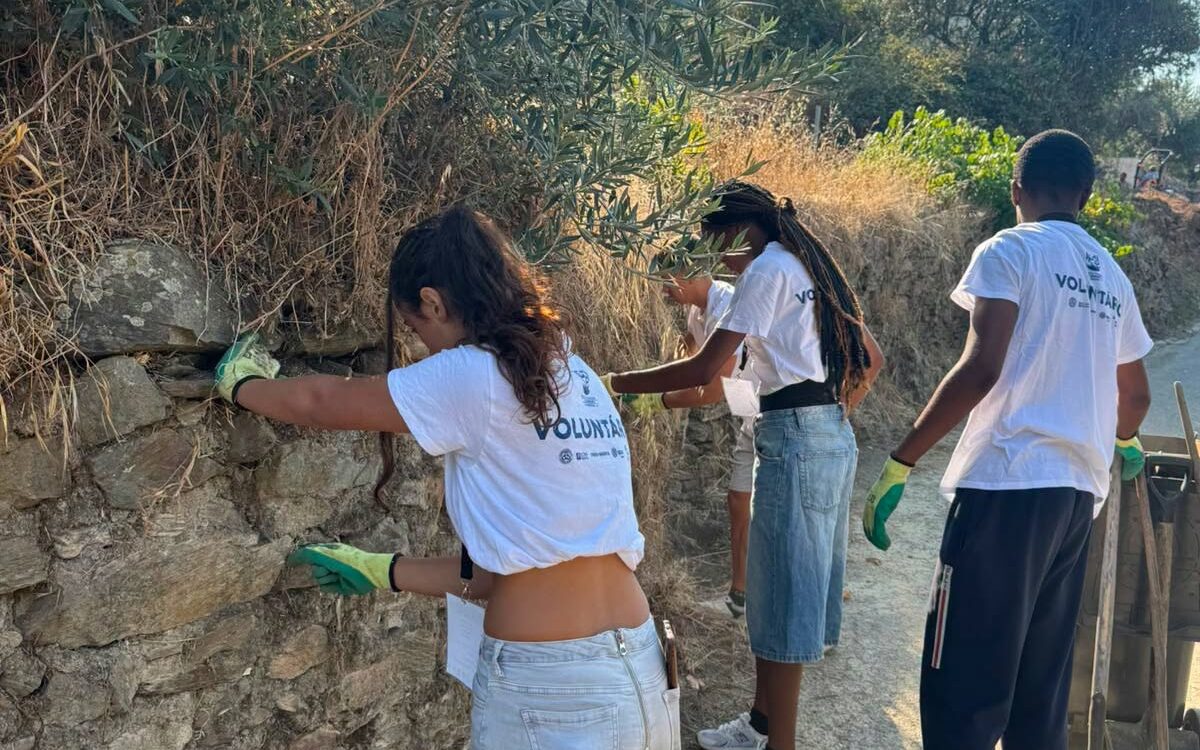 Jovens voluntários ajudam na recuperação de áreas ardidas na Covilhã