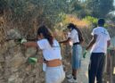 Jovens voluntários ajudam na recuperação de áreas ardidas na Covilhã