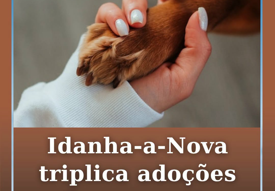 O Município de Idanha-a-Nova registou, até hoje