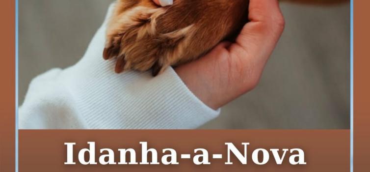 O Município de Idanha-a-Nova registou, até hoje
