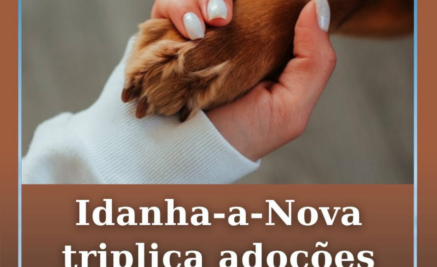 O Município de Idanha-a-Nova registou, até hoje