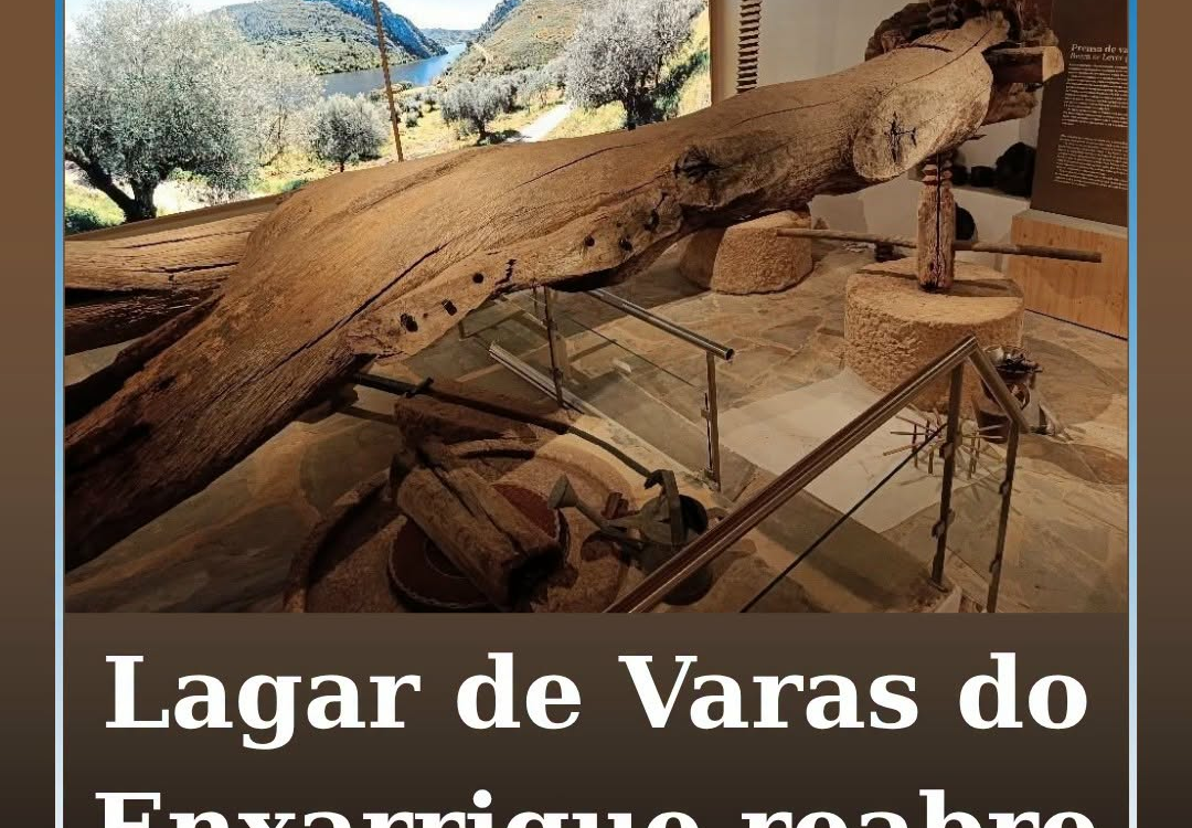O Município de Vila Velha de Ródão realiza, no dia 3 de setembro, pelas 17H00