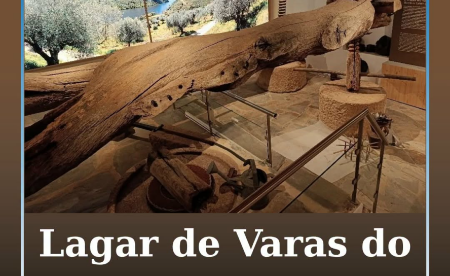 O Município de Vila Velha de Ródão realiza, no dia 3 de setembro, pelas 17H00