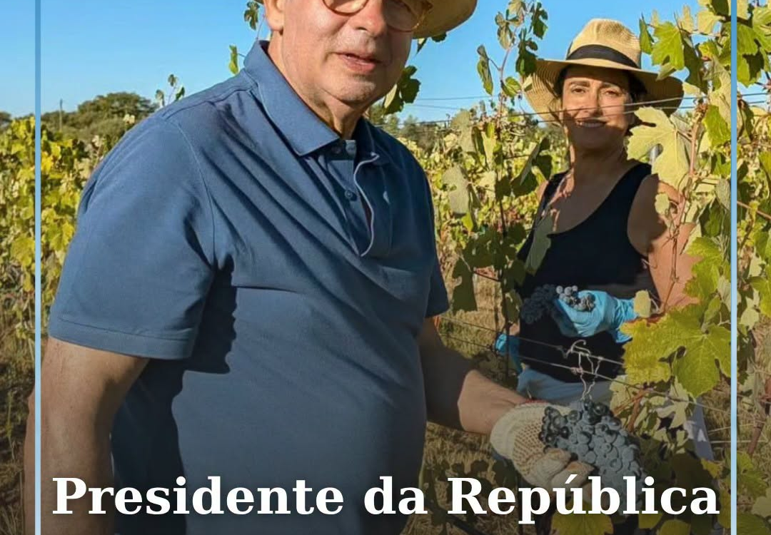 O Presidente da República, António José Seguro