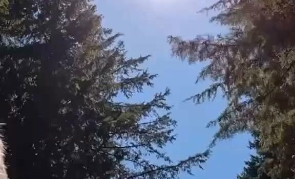 O eclipse total do Sol acontece esta quarta-feira, 12 de agosto