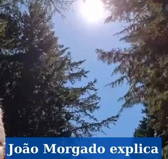 O eclipse total do Sol acontece esta quarta-feira, 12 de agosto