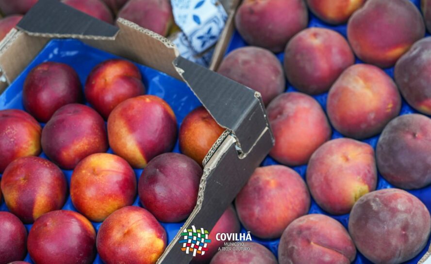 Orjais recebeu mais uma edição da Festa do Pêssego