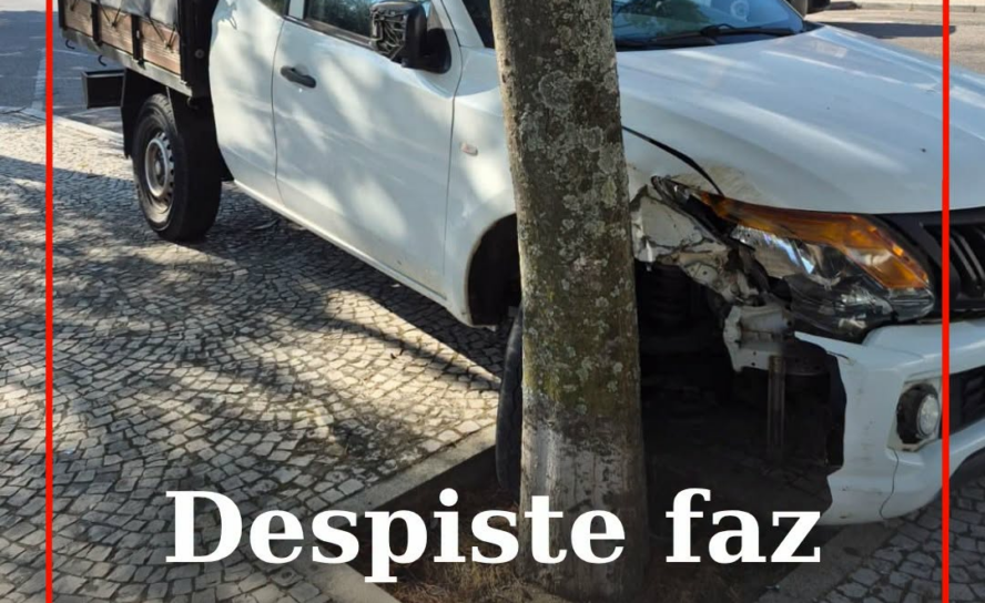 Um homem de 79 anos ficou ferido com gravidade ligeira na sequência de um despis