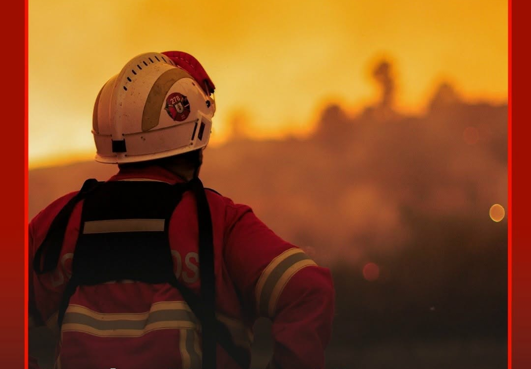 Um incêndio que deflagrou este sábado no concelho de Abrantes já se alastrou ao