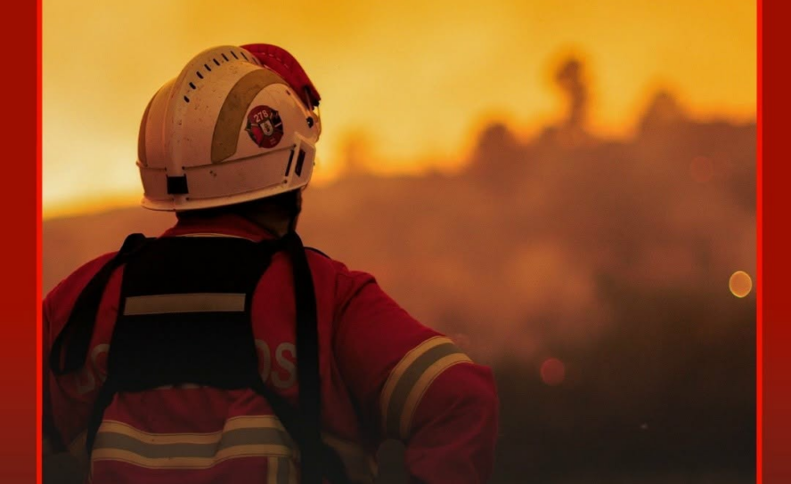 Um incêndio que deflagrou este sábado no concelho de Abrantes já se alastrou ao
