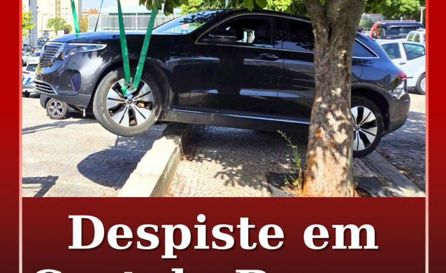 Um veículo ligeiro despistou-se na manhã desta sexta-feira, 7 de agosto