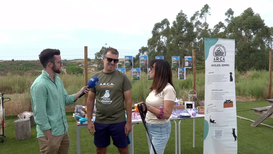 EM DIRETO: BEIRA BAIXA TV
