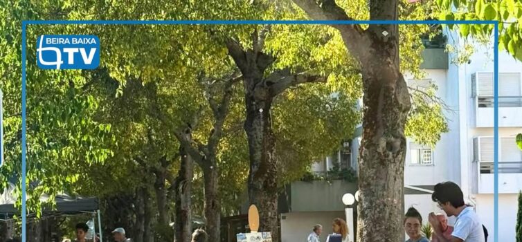 A Associação de Colecionismo de Castelo Branco realiza mais uma edição da Feira