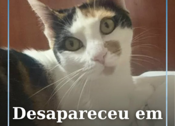 A Dora está desaparecida na zona da Rua Pires Marques, em Castelo Branco.
