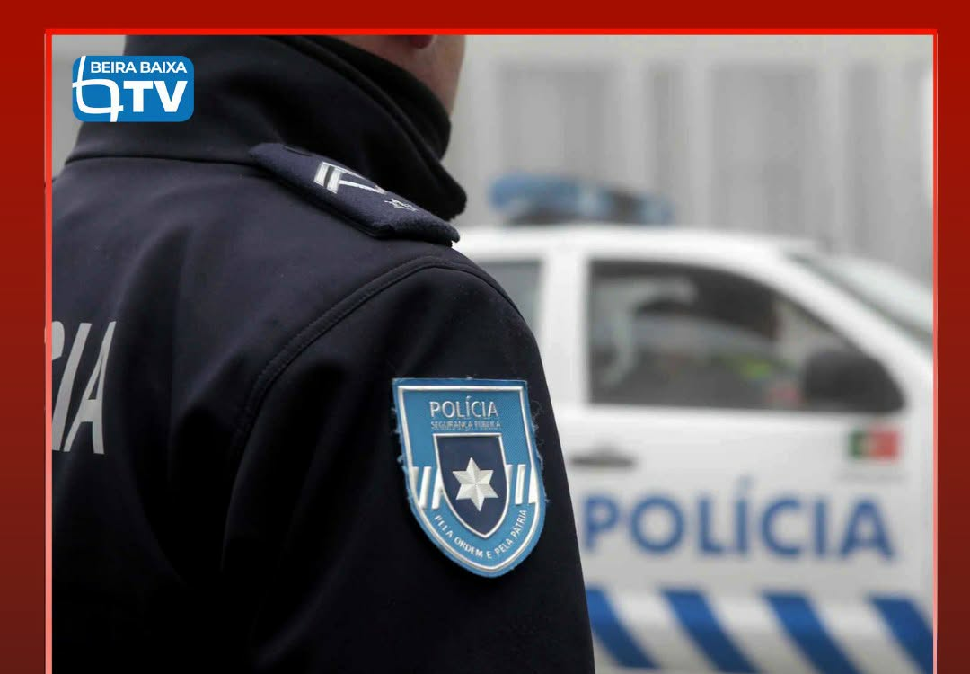 A Polícia de Segurança Pública (PSP)