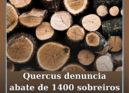 A Quercus denuncia a intenção da Câmara Municipal da Covilhã de abater cerca de