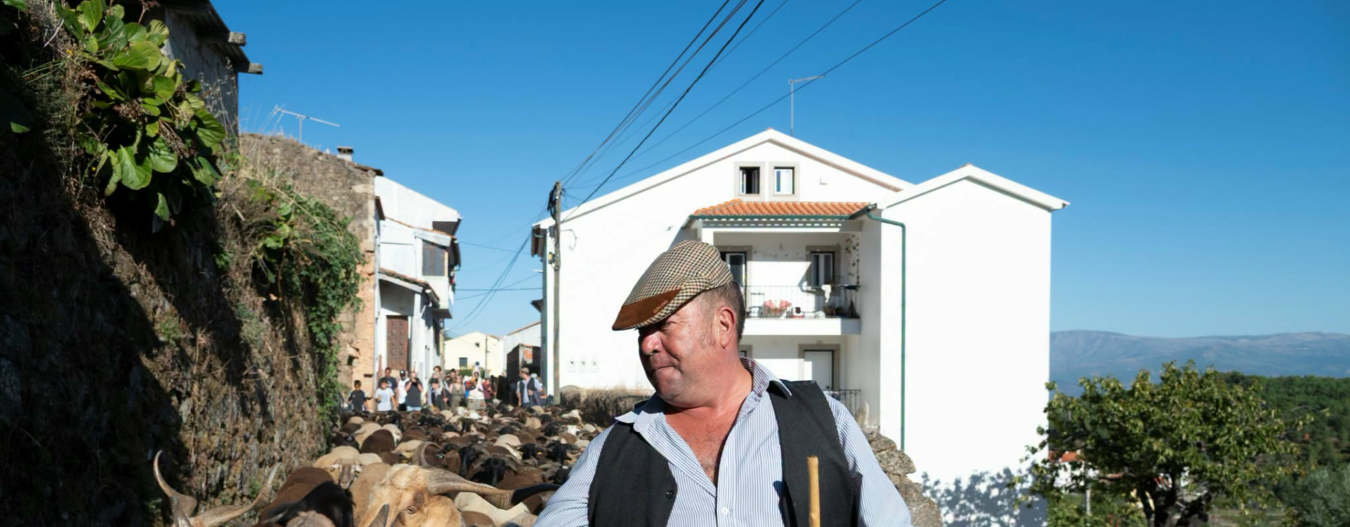 A Serra da Gardunha voltou a ser palco da Caminhada dos Chocalhos
