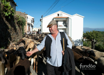 A Serra da Gardunha voltou a ser palco da Caminhada dos Chocalhos