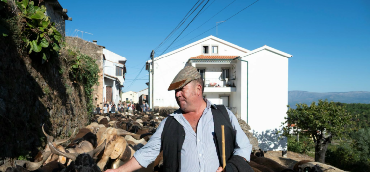 A Serra da Gardunha voltou a ser palco da Caminhada dos Chocalhos