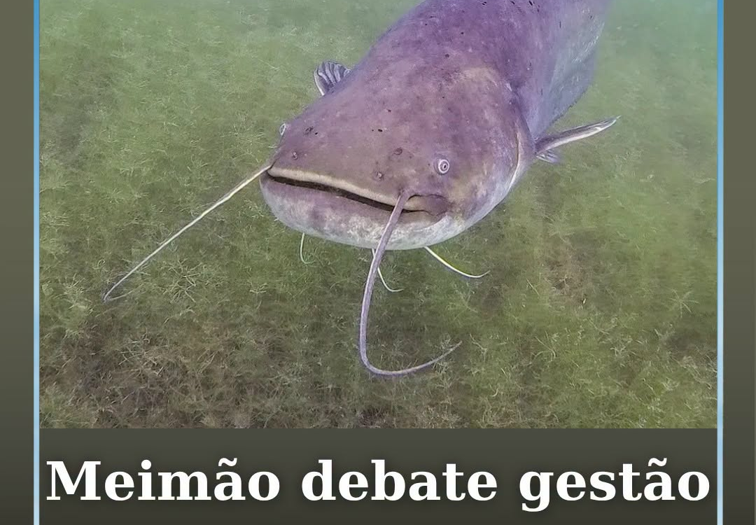 A Zona Balnear do Meimão recebe