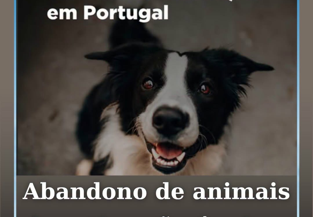 Com a chegada das férias de verão