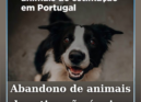 Com a chegada das férias de verão