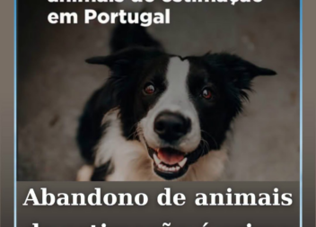 Com a chegada das férias de verão