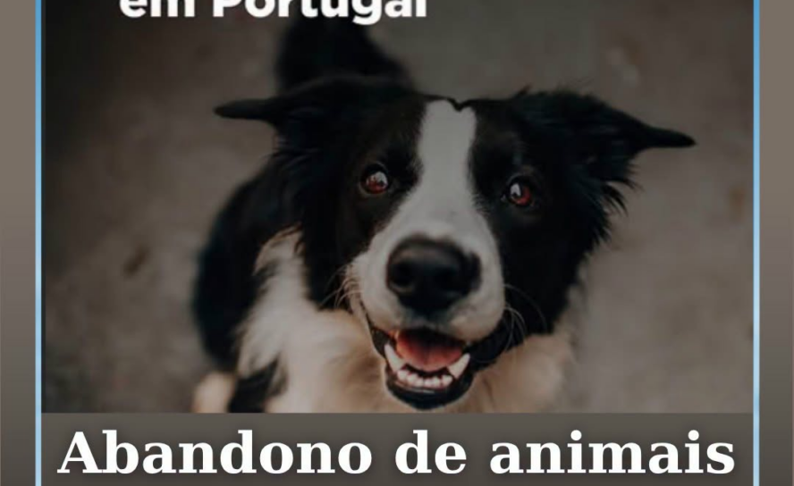 Com a chegada das férias de verão