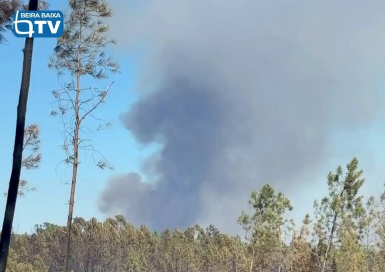 Continua a lavrar com alguma intensidade o incêndio que deflagrou em Alvito da B