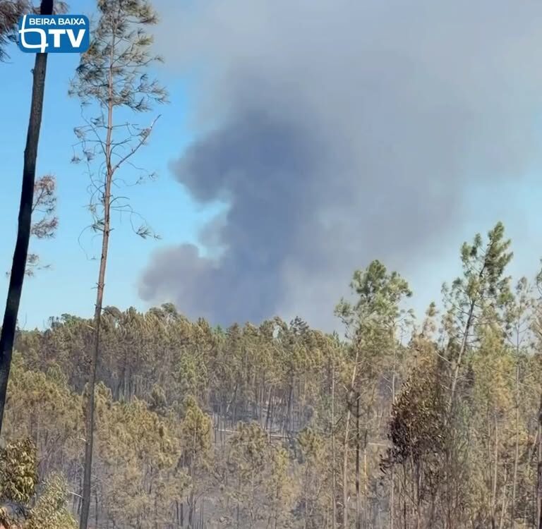 Continua a lavrar com alguma intensidade o incêndio que deflagrou em Alvito da B