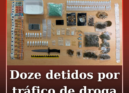 Doze pessoas foram detidas por tráfico de estupefacientes